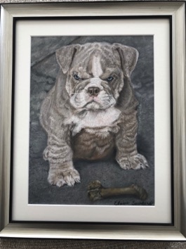 Bulldog 9x12 framed
Original $365