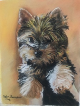 Yorkie - puppy 9x12
Original $250